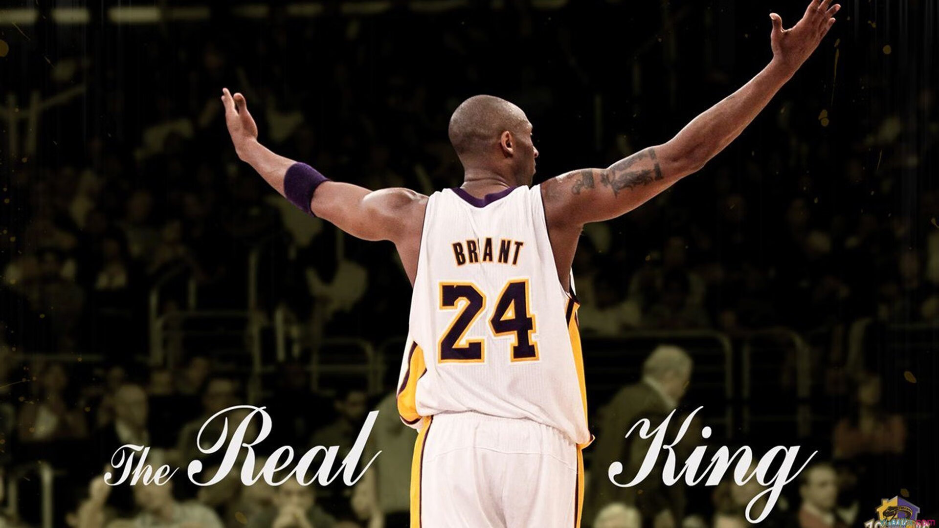 “阿根廷美洲狮队：橄榄球冠军锦标赛的强力黑马”